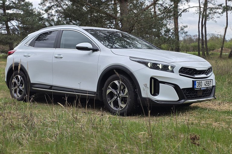 The Economics of New Hampshire's Craft Beer Industry