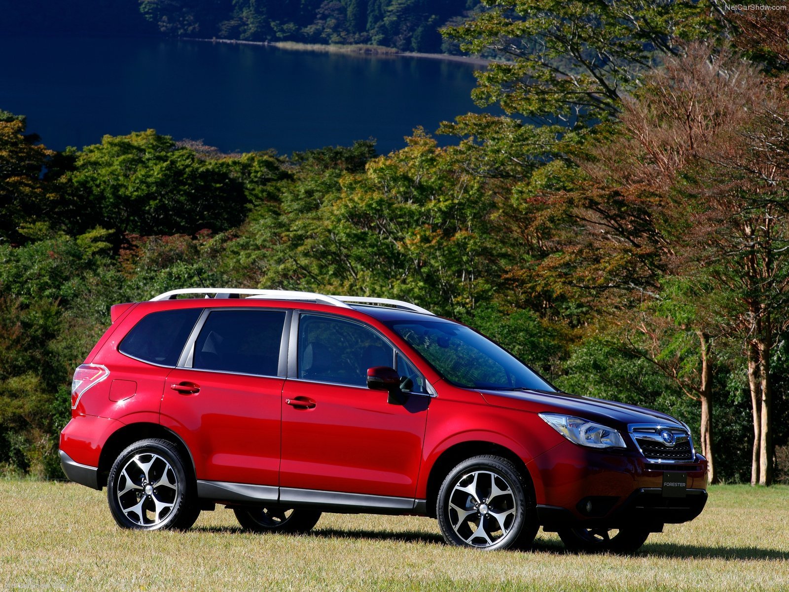 Ojeté Subaru Forester působí lacině, ale je to spolehlivá