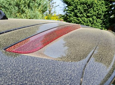 Směje se mi do tváře. Auto mám každý den totálně zadělané pylem z jeho řepkových polí